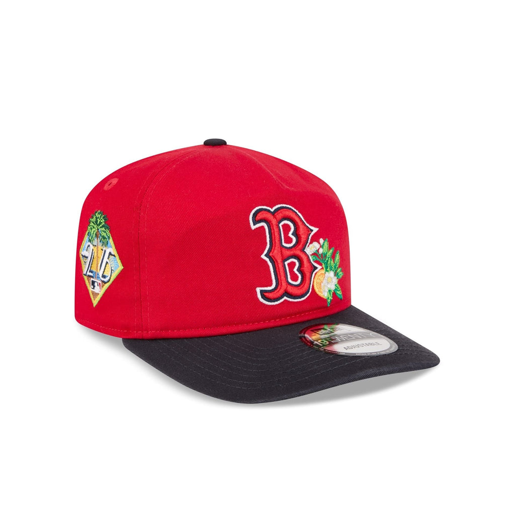 Boston Red Sox 19Twenty Spring Training MLB Vintage Snapback Baseball Cap Adjustable Streetwear Hat